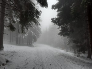 WhatsApp Image 2023-12-16 at 12.23.26.jpeg